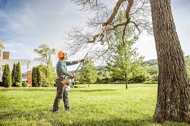 Best Utility Line Clearance  in Buckhorn, CA